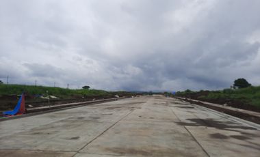 7890 sqm industrial lot for sale in binan laguna