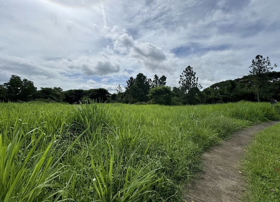 Provincial Road, Don Jose, Santa Rosa, Laguna image 2