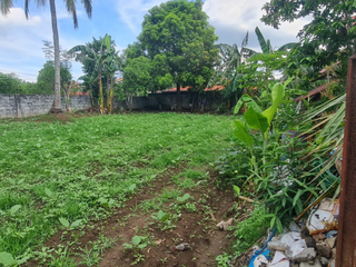 768 Commercial Lot at Inocencio Property at Trece Martires Cavite for Sale