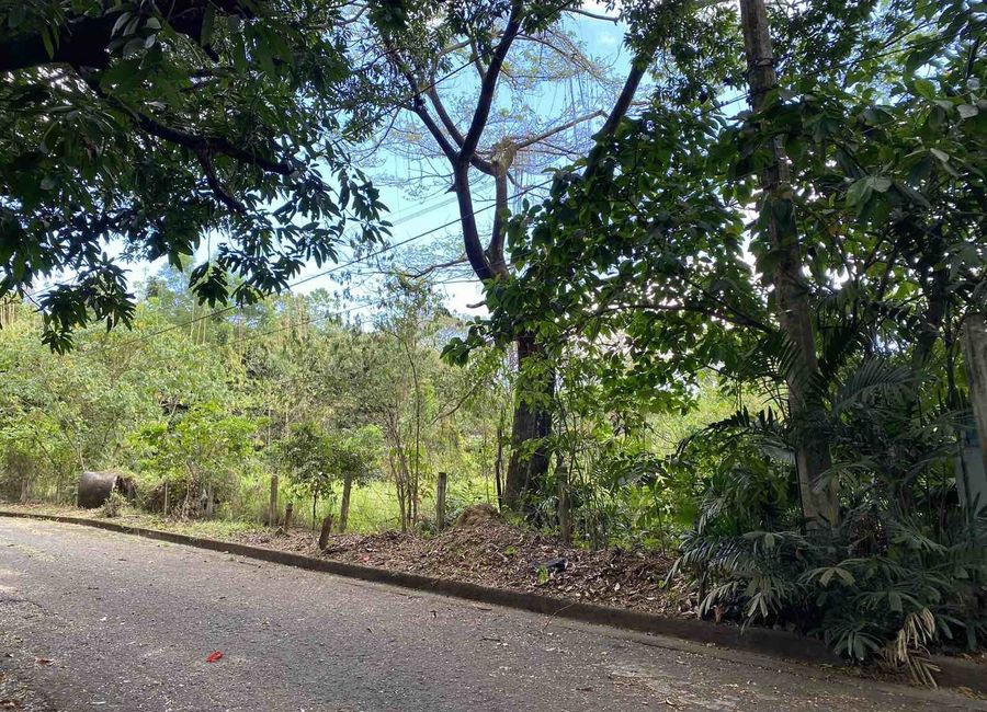 Don Celso Tuason Avenue, Dela Paz, Antipolo, Rizal