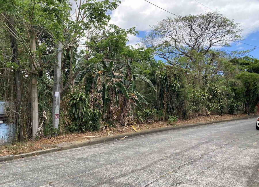Don Celso Tuason Avenue, Dela Paz, Antipolo, Rizal image 3