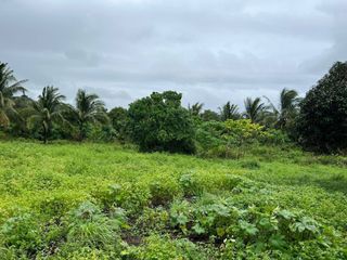 Farm Land For Sale With Structures For Piggery At Dauin, Negros Oriental
