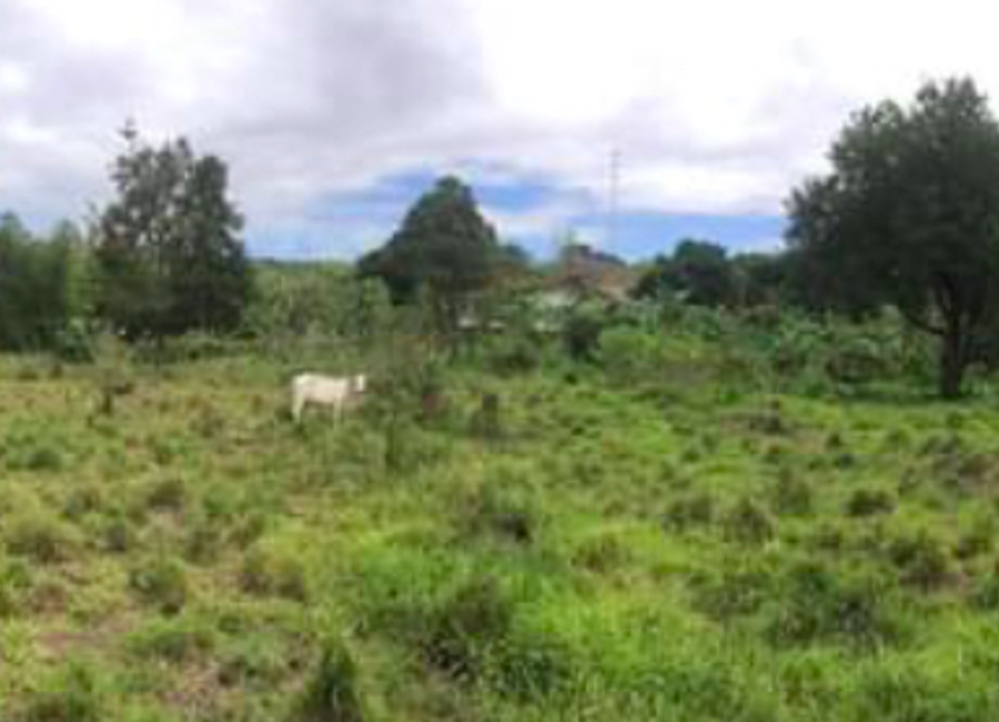 E. Acosta Street, Lakeside Park Subdivision, Yakat, Quisao, Pililla, Rizal image 2