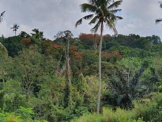 Tagaytay Private Farm and Estate For Sale