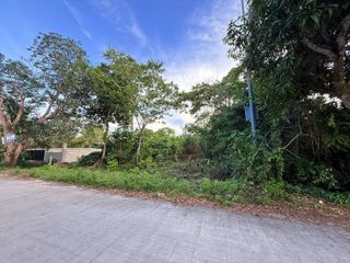 Residential Lot for Sale - 1,809 sqm near Tangnan Beach - Panglao, Bohol