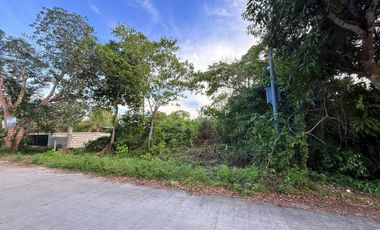 Residential Lot for Sale - 1,809 sqm near Tangnan Beach - Panglao, Bohol