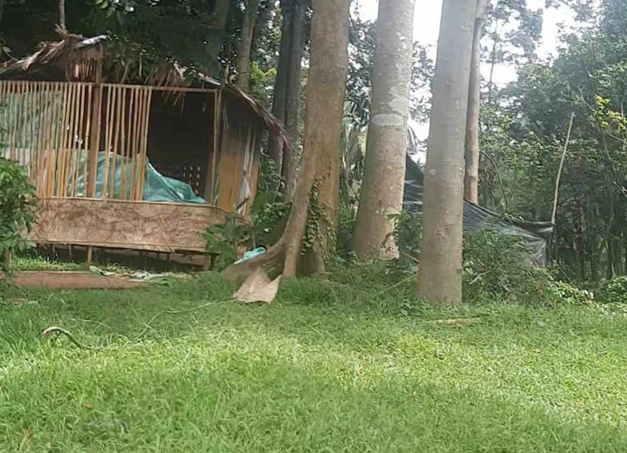 Pagkain ng Bayan, Tanay, Rizal