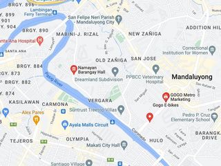 For Sale: 4,844 sqm Lot in Namayan Goho,  Mandaluyong City