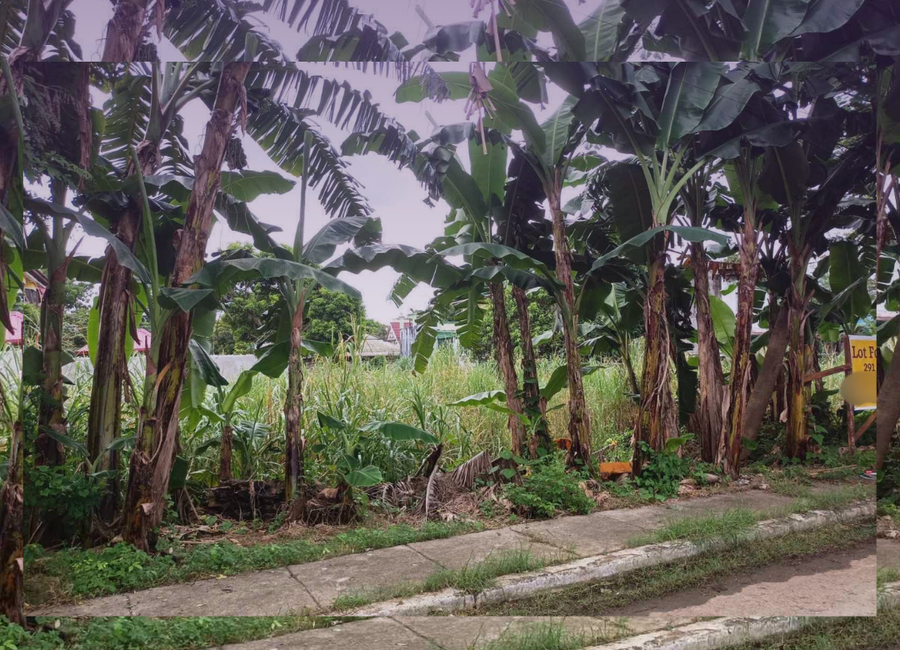 Villena, San Isidro, Cainta, Rizal image 3