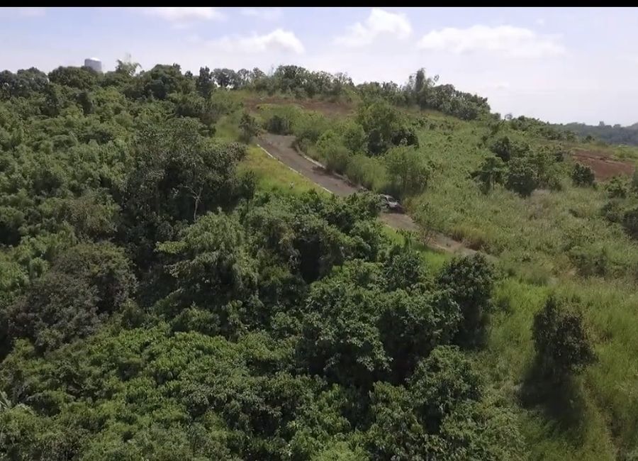 Forest Hills Avenue, Lower Tulakin, Bagong Nayon, Antipolo, Rizal image 3