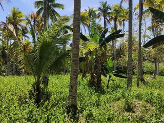 1,000 sq. meters Lot for sale at Island of garden Samal, Samal