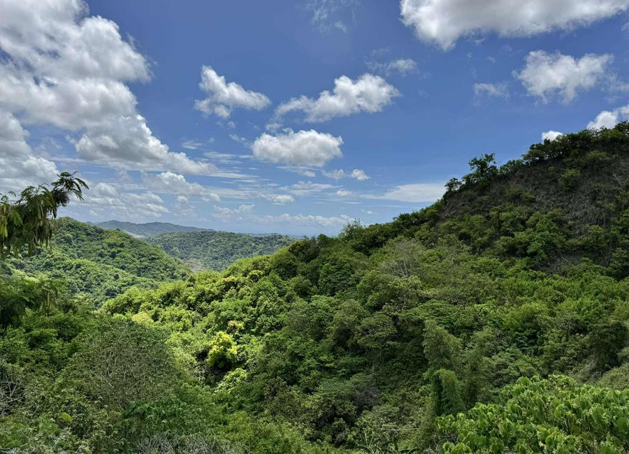FOR SALE: Prime Lot in Busay, cebu - 33,164 SQM Adjacent to Gaslamp ...