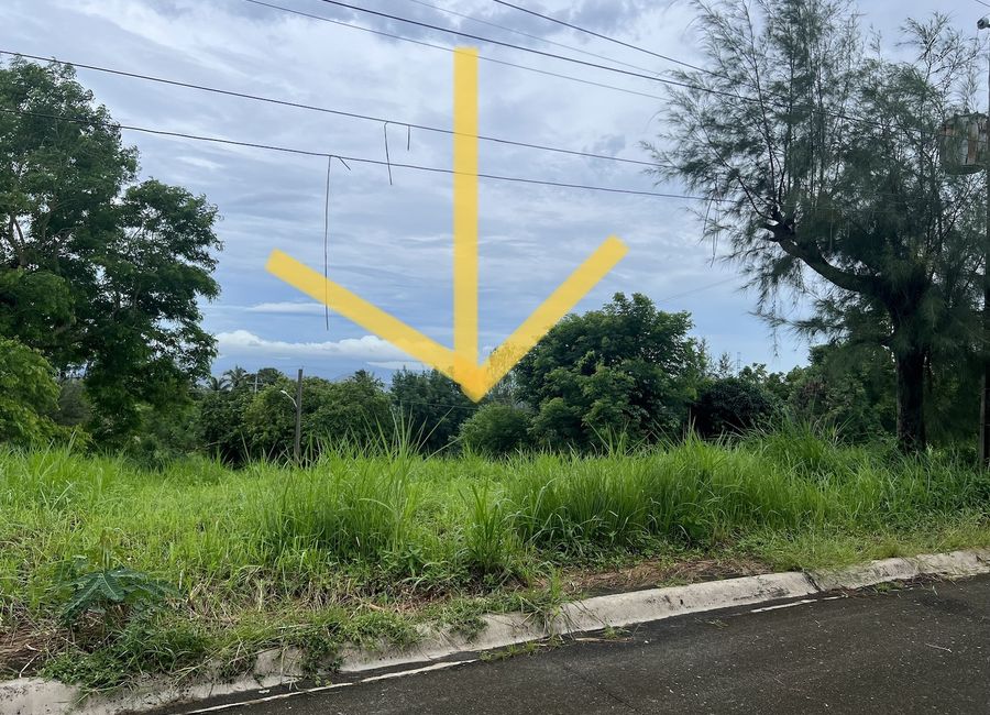 Diokno Highway, Tamayo, Calaca, Batangas image 2