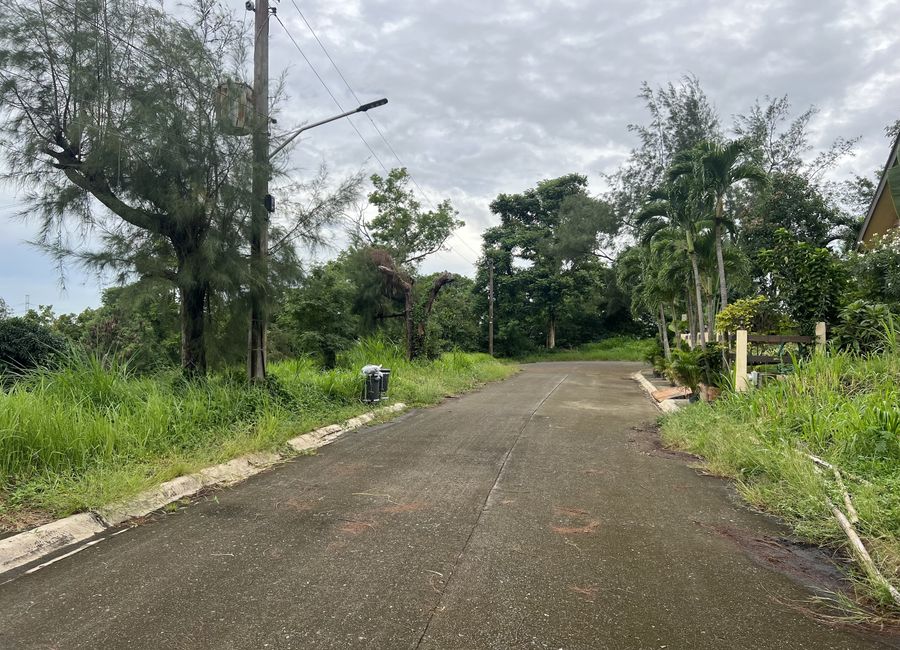 Diokno Highway, Tamayo, Calaca, Batangas image 3