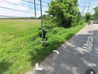 Residential lot 56,000 sqm, clean title in San Francisco Anao, Tarlac for Sale