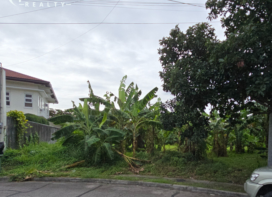 Arsobispo Street, Las Villas de Manila, San Francisco, Biñan, Laguna image 2