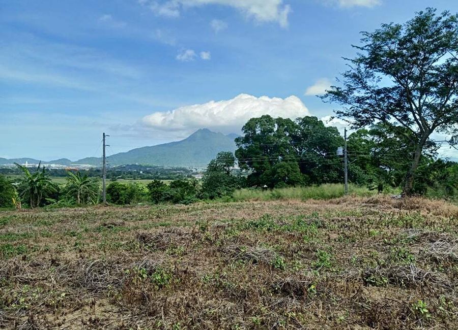 Trapiche, Santor, Tanauan, Batangas image 2