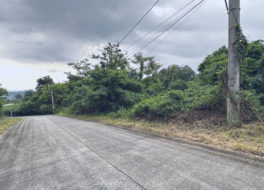 Timberland Avenue, Mandala South, Timberland Heights, San Mateo, Rizal image 2