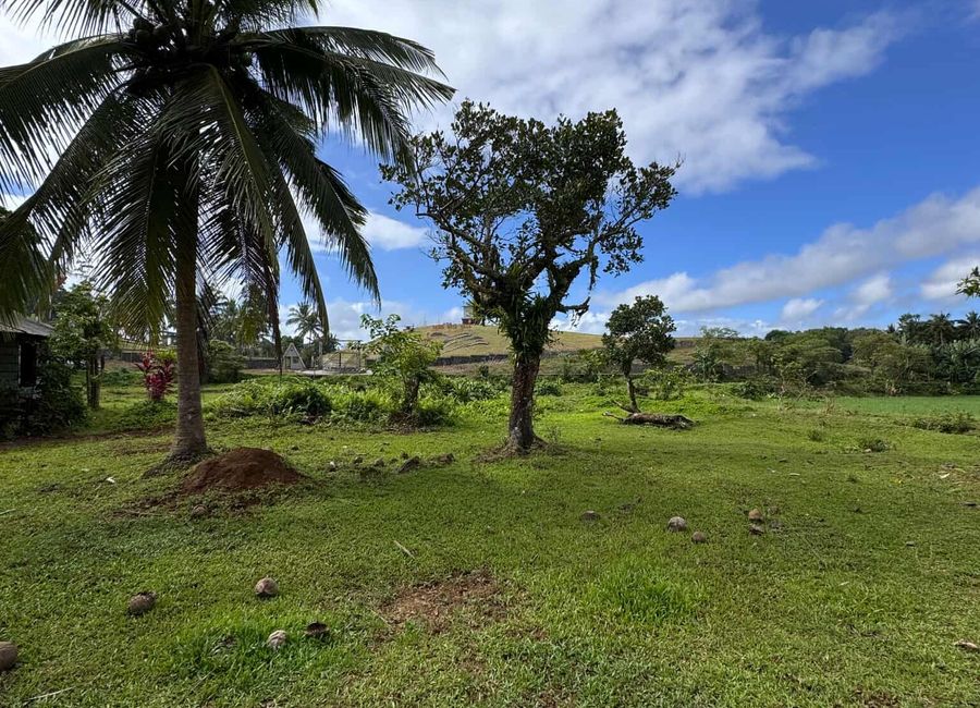Bonifacio Drive, Rosario Village, Ilayang Iyam, Lucena, 2nd District image 2