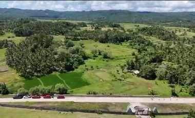 Lot for Sale Tayabas, Quezon Along the Hiway