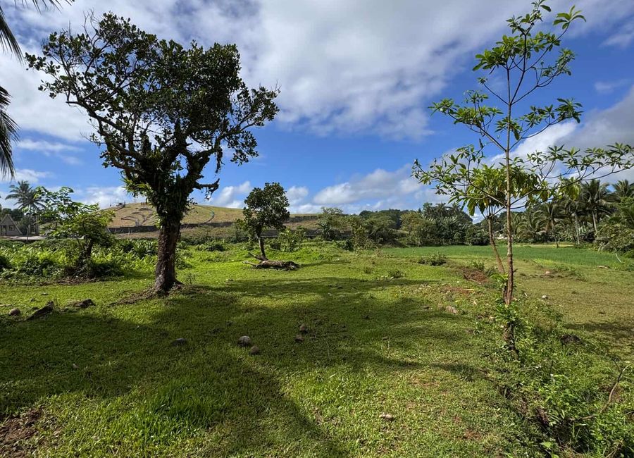 Bonifacio Drive, Rosario Village, Ilayang Iyam, Lucena, 2nd District image 3