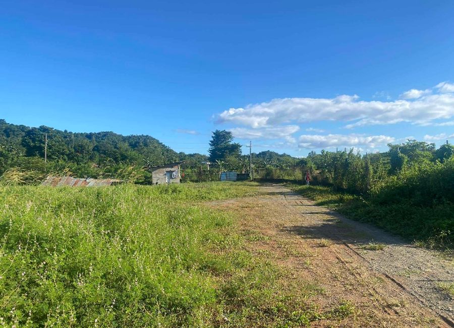 Pantay, Antipolo, Rizal image 3