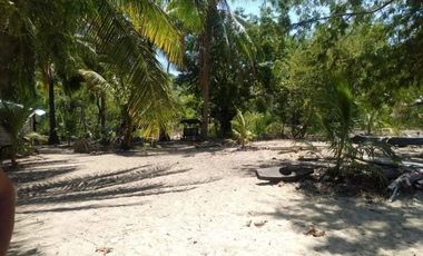 3 Hectares Vacant Commercial Lot for sale at Brgy. Decabobo, Coron, Palawan