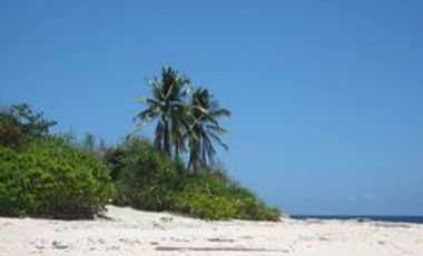 12.5 Hectares Island for Sale in Brgy. San MIguel, Linapacan, Palawan