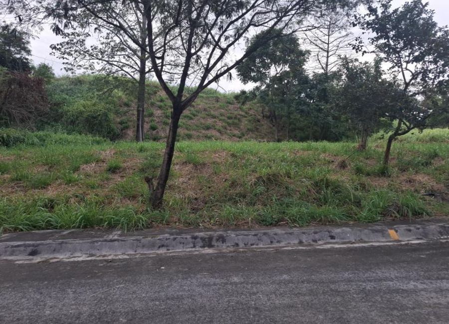 Juan Sumulong Street, San Roque, Antipolo, Rizal image 2