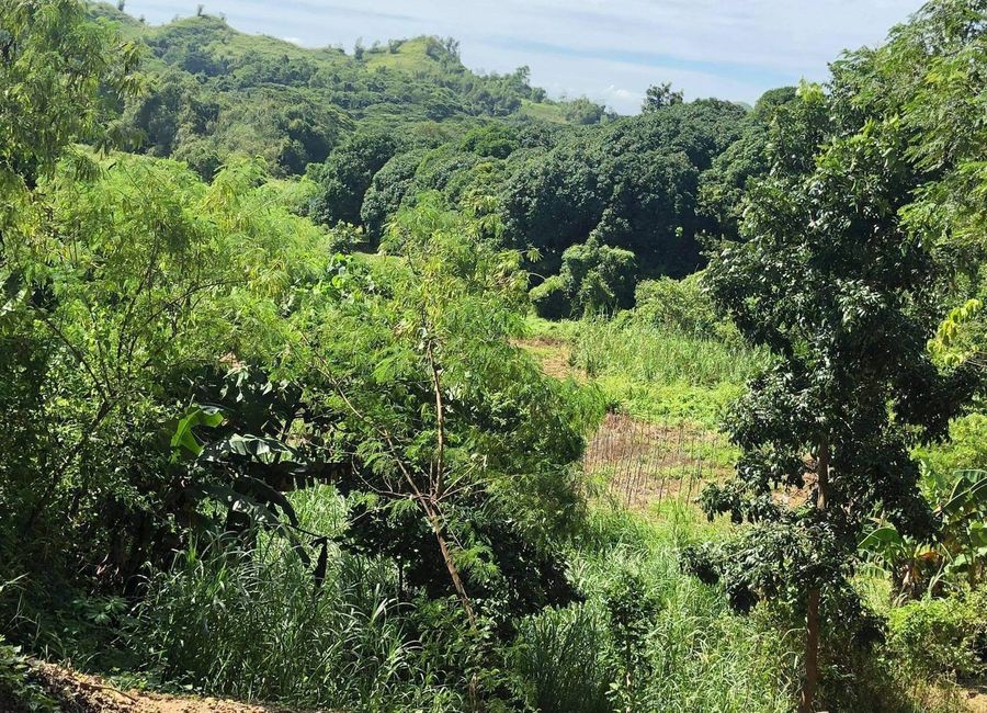 Baras, Rizal image 2