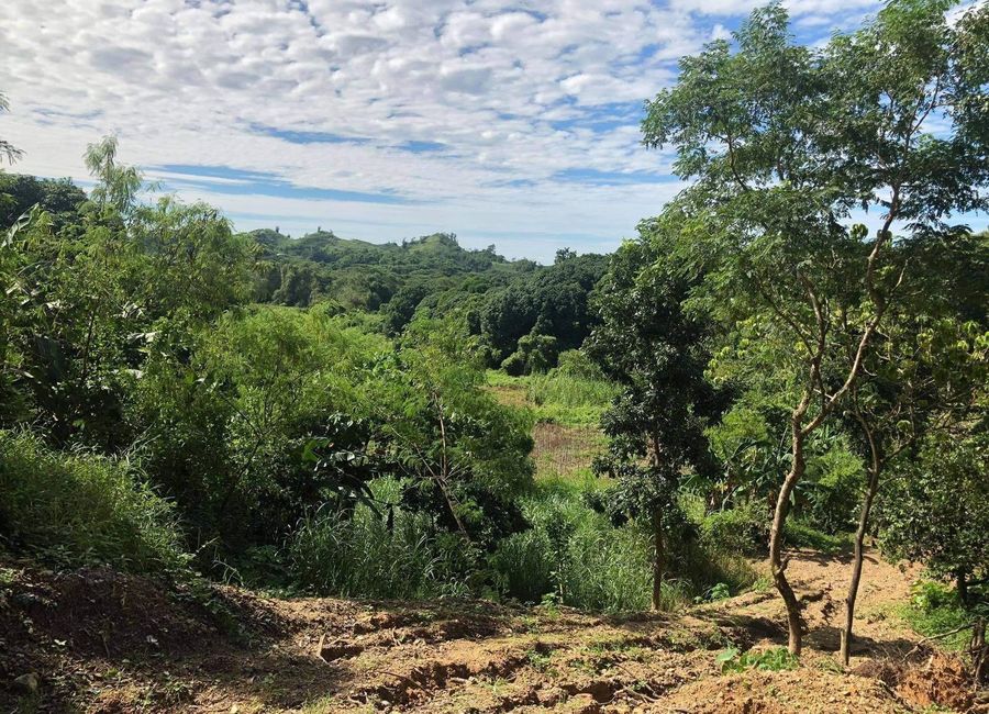 Baras, Rizal
