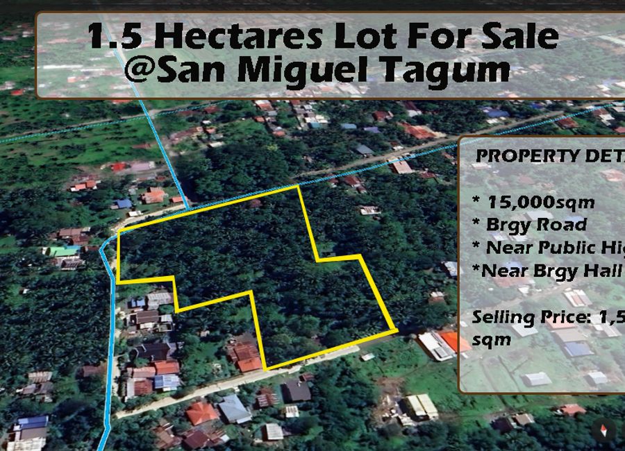 1.5has Farm Lot for Sale in Tagum Davao | Lamudi.com.ph