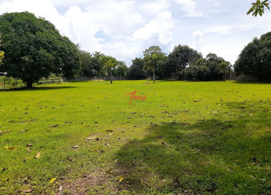 Madrid Avenue, Palma Real Residential Estates, Malamig, Biñan, Laguna