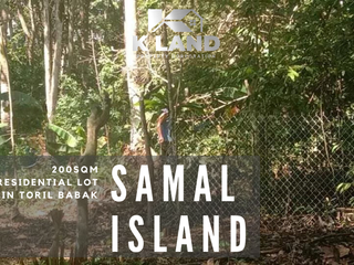 200Sqm. Residential lot for sale @ Toril Babak, Samal Island