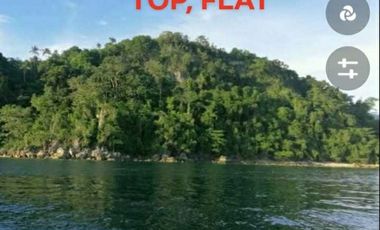 7,438 sqm Puerto Galera Beach Lot For Sale in Sabang, Mindoro