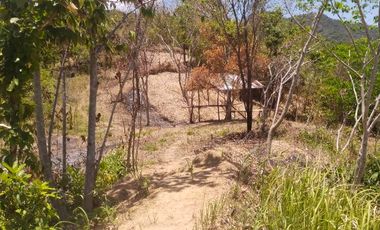 1 Herctare Land For Sale in Bgy. Decabobo Coron Palawan
