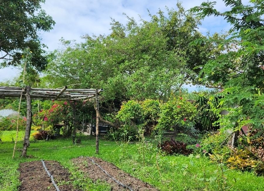 Palaypalay, Jalajala, Rizal