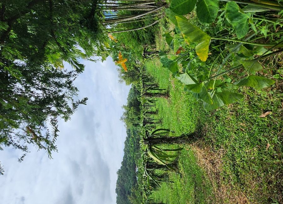 Palaypalay, Jalajala, Rizal image 2