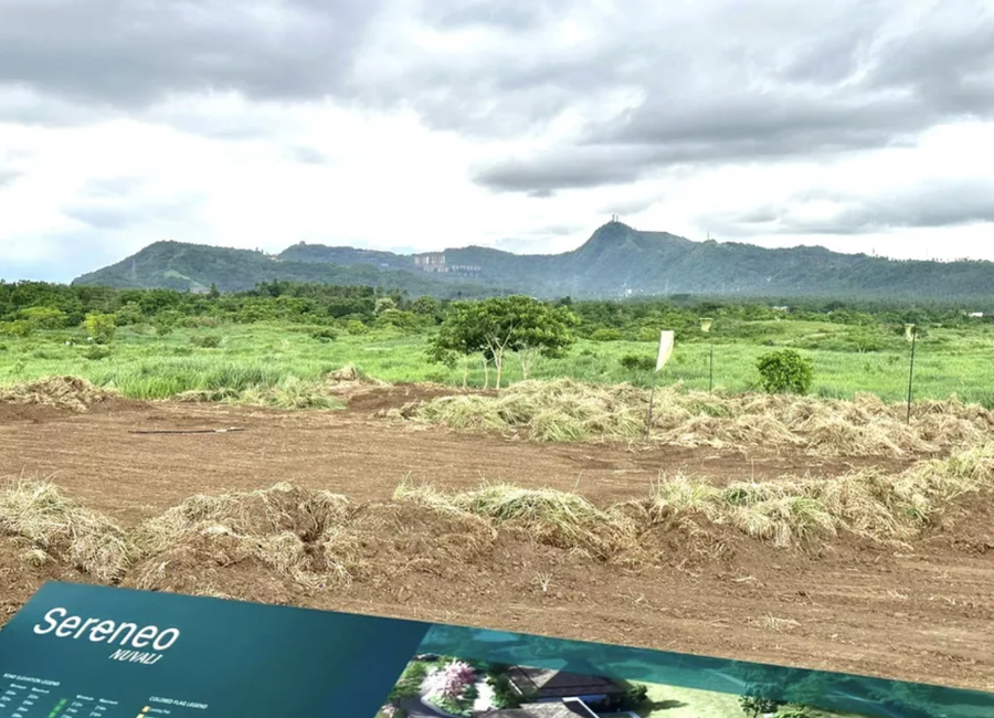 Evoliving Parkway, Avida Village Cerise, Canlubang, Calamba, Laguna image 3