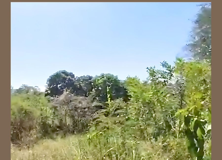 Talaga, Morong, Rizal image 2