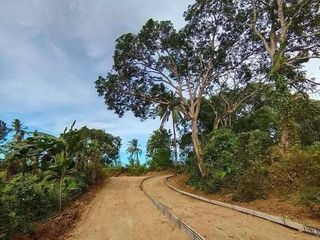 Farm Lot For Sale in Indang Cavite  near Tagaytay- Subdivided