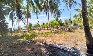 Beach Front Lot For Sale on Ambil, Looc, Occidental Mindoro - 2,760 sqm
