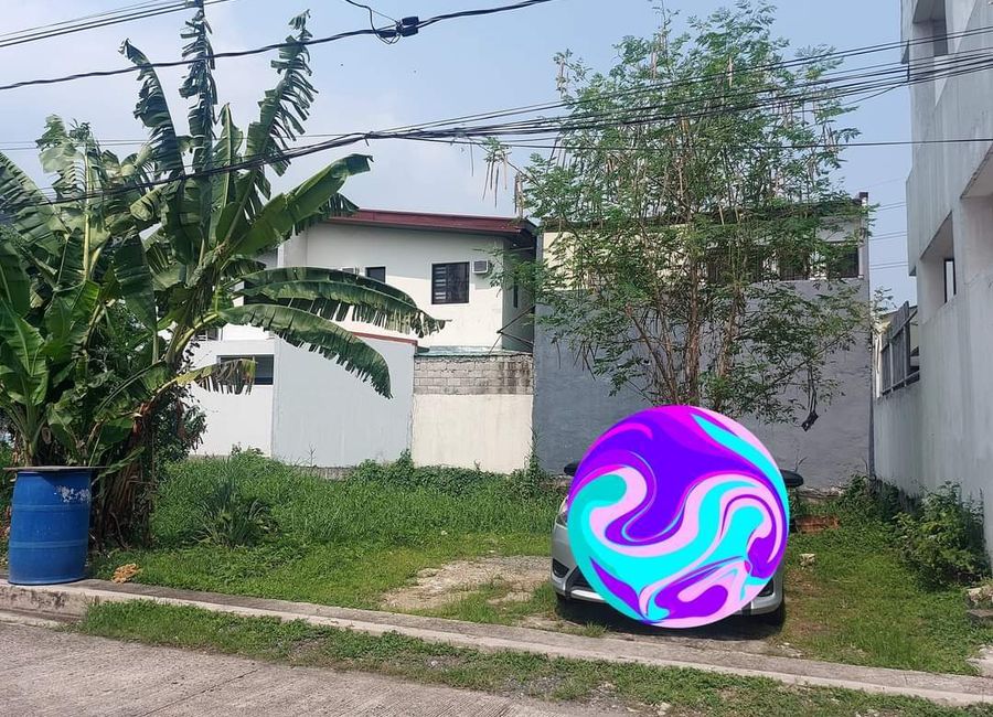 Aster Street, Madera Homes II, San Andres, Cainta, Rizal