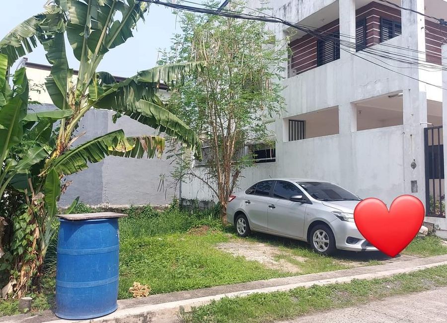 Aster Street, Madera Homes II, San Andres, Cainta, Rizal image 3