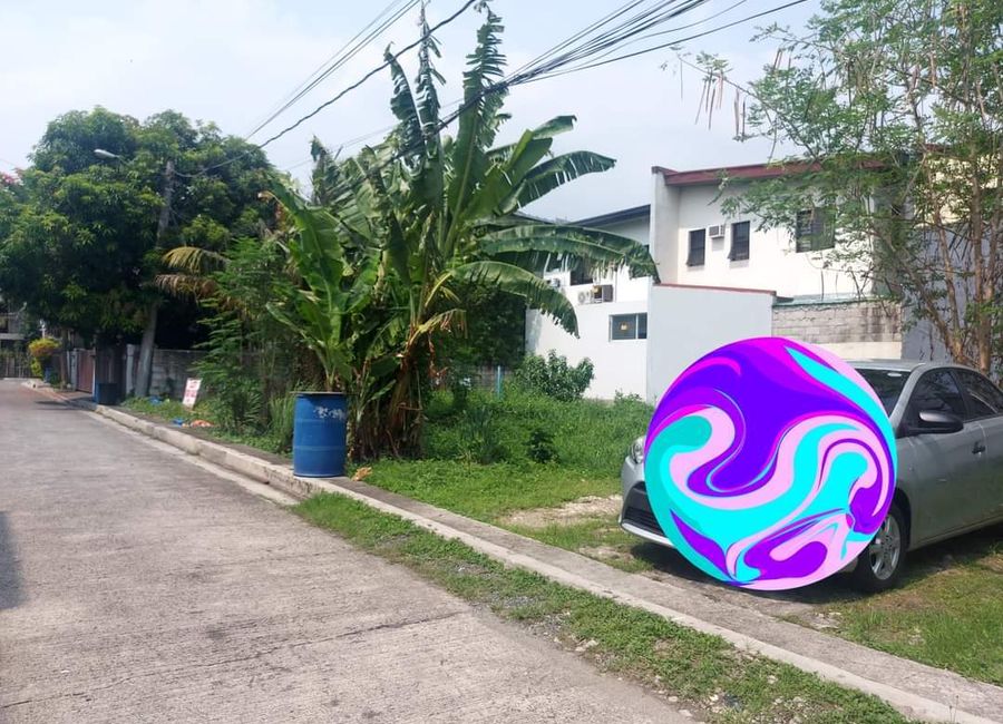 Aster Street, Madera Homes II, San Andres, Cainta, Rizal image 2