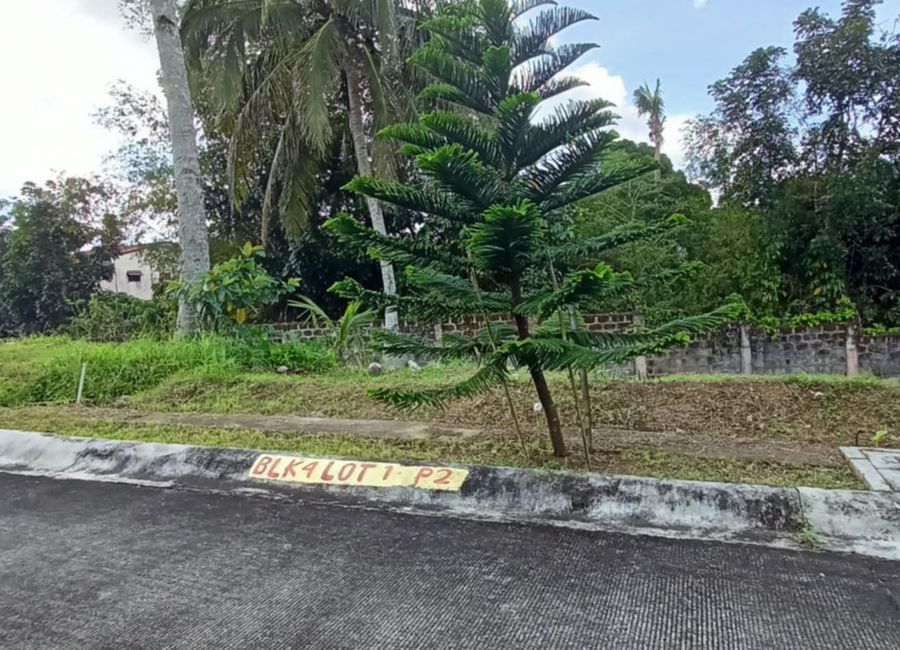 PERIMETER LOT in Palm Crest Tagaytay for SALE! 100 sqm lot area - 1.8M ...