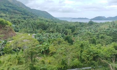 1.3 hectares land for sale in brgy decabobo coron palawan