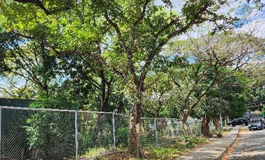 Corner Vacant Lot property for sale in Talayan Village, Quezon City