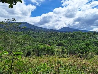 Affordable 11.5Ha Agricultural Land in Malitbog, Bukidnon