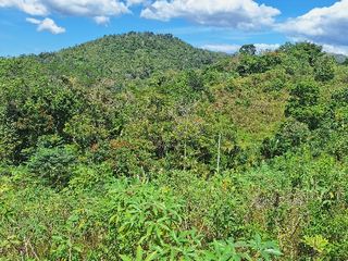 Affordable overlooking  farmlot at Capihan, Libona